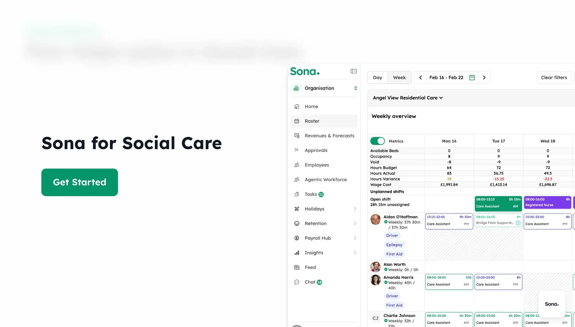 Sona for Social Care - 4 pains-thumb